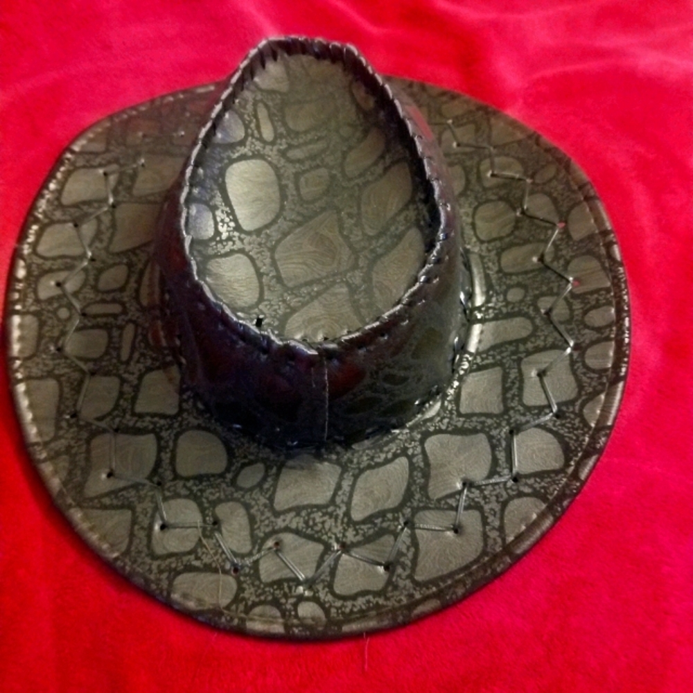 Cowboys hat